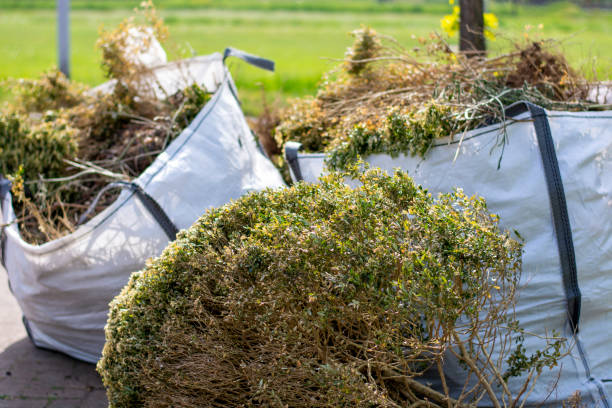 Basement Cleanout Services in Ponderosa Park, CO